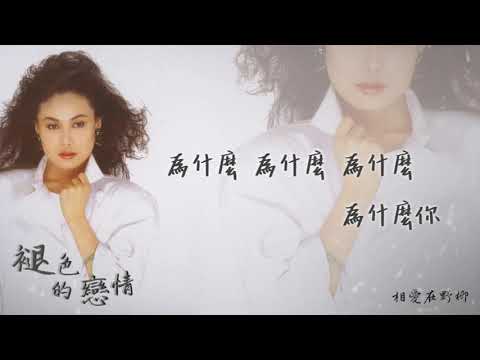 【Official Audio Lyrics Video】江蕙《褪色的戀情》-〈相愛在野柳〉官方動態歌詞版MV