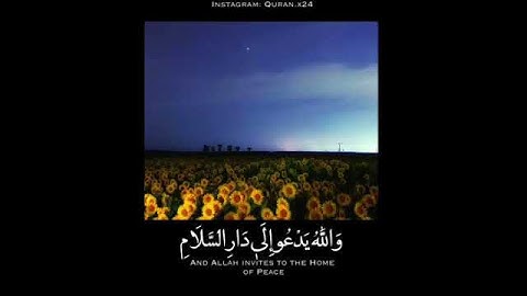 آيات القرآن، سورة يونس آيه رقم ٢٥
