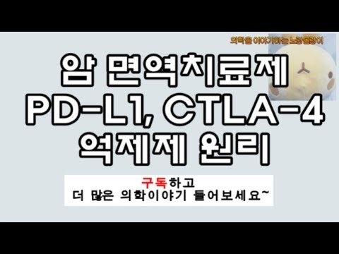 암면역치료제(Cancer Immunotherapy) 기전(mechanism): PD-L1, CTLA4