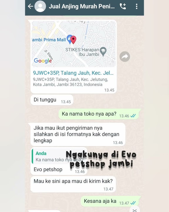 Hati-Hati Penipuan!!!!! #anjing