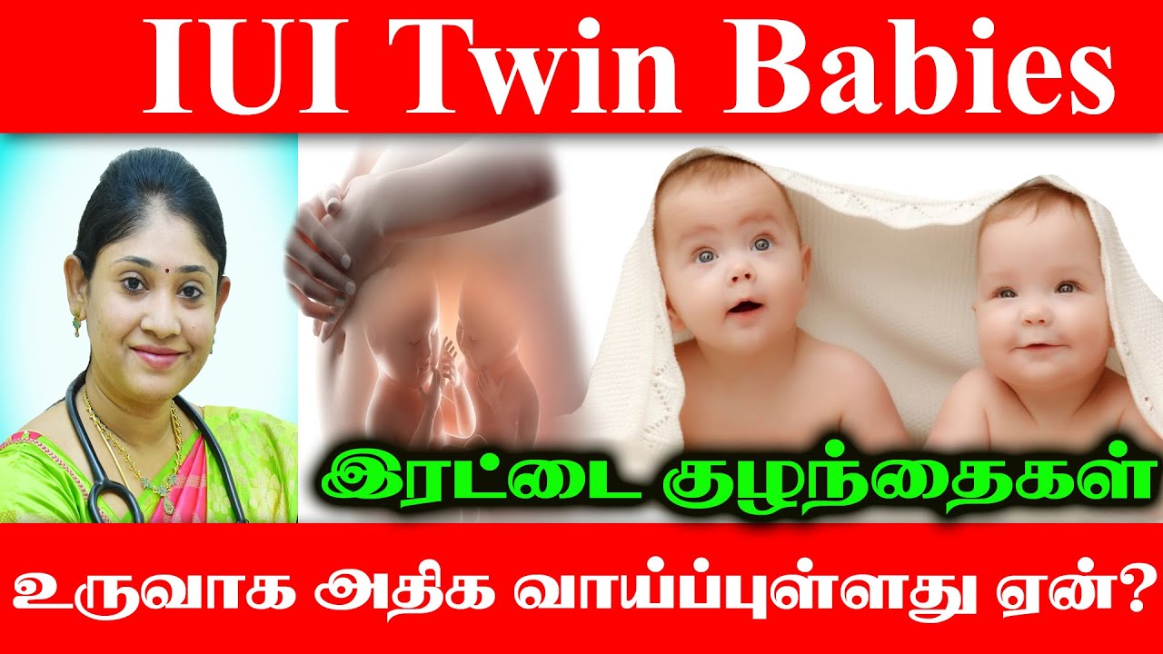 IUI Success Rate Twin Babies chances in IUI  இரட்டை குழந்தைகள் உருவாக வாய்ப்பு அதிகமுள்ளது ஏன்?