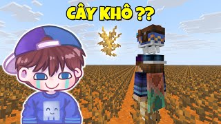 Minecraft Sinh Tồn Thế Giới SIÊU PHẲNG TOÀN LÀ CÂY KHÔ !!