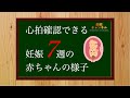 【妊娠7週】心拍確認できた！そんな時の赤ちゃんの様子について