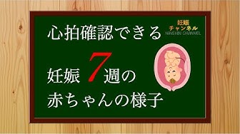 心拍確認 Youtube 心拍確認 Youtube