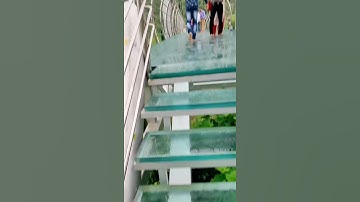 New Rajgir Status Video|💫Glass Bridge 😍Whatsapp Status|💞#short #status 💖#video 🤘#rajgir 💥#download 😍