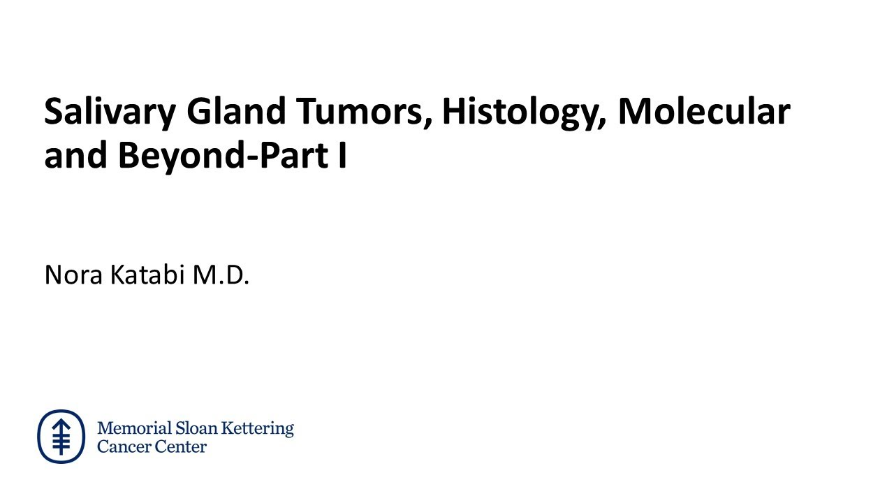 34th Pezcoller Seminar 27/10/23 - Dr. Nora Katabi