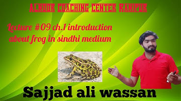 Lecture #09 Chap 01 Introduction topic Frog in Sindhi medium 👉🐸📚