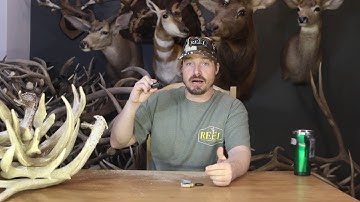 Elk Reel Lesson 1: How The Calls Work and Creating the Initial Note