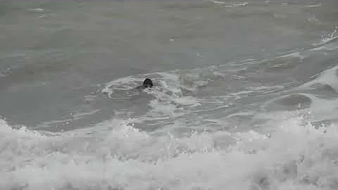 Анапа Тягун в море Человек в воде Слабонервным не смотреть