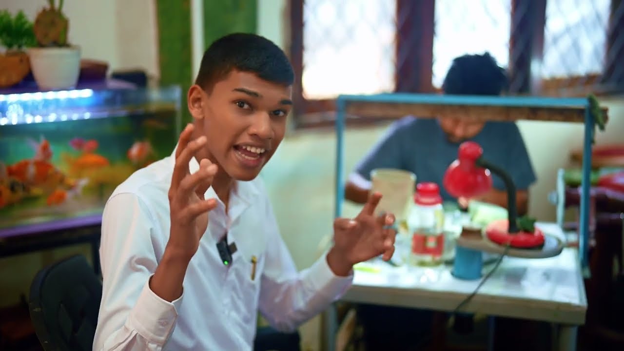 අලුත්ම මැඩගස්කාර් මැණික්  Export කරමුද