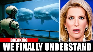 Scientists Just Decoded Language of the Whales Using AI... And It's Not  What You Think