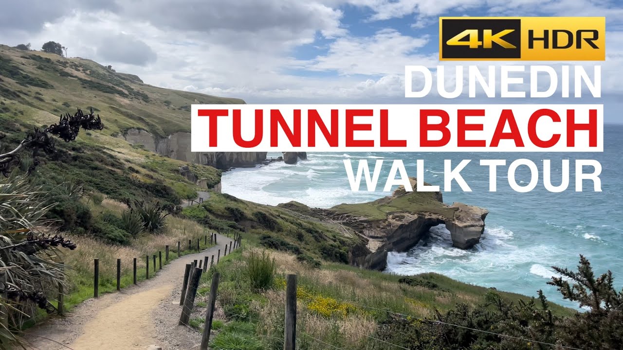 Dunedin Tunnel Beach Walk Tour New Zealand 4K