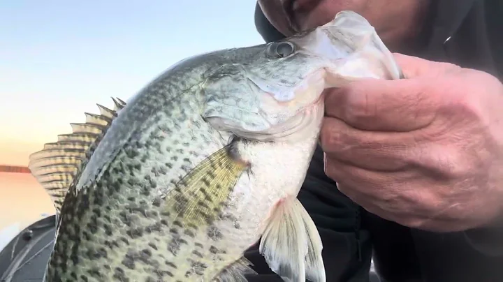 ￼Afternoon CHAOS!! - Crappie Fishing - High Rock Lake