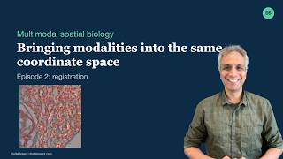 Information 02 - Multimodal Spatial Biology: Registration Guide