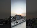 Kite lovers🌸🪁#shortsviral #kiteground #shorts #shortsfeed #youtubeshorts #minivlog #patang