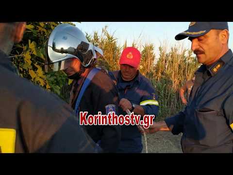 Επιχείρηση Πυροσβεστικής για απεγκλωβισμό κατσίκας σε πηγάδι βάθους 15 μ. στην Ποσειδωνία Κορίνθου