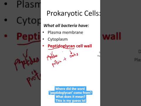 Video: Mis on peptidoglükaani keemiline struktuur?
