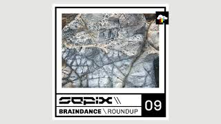 Braindance Roundup Nine (IDM Mix, Braindance Mix, 2022)