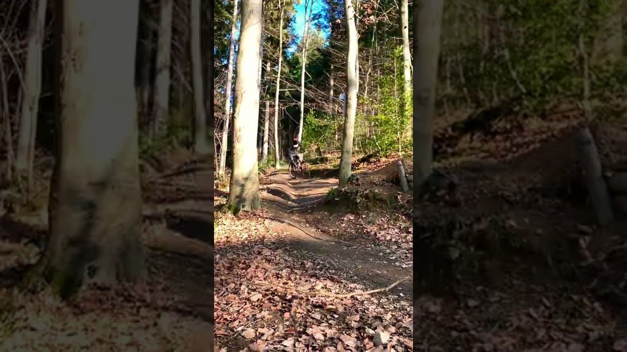 Sonniger Winter Ride 