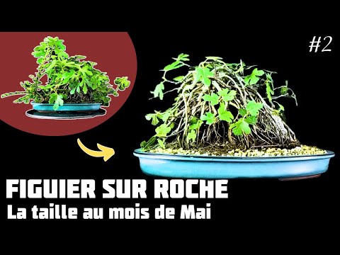 Je fais un