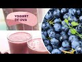 COMO HACER YOGURT DE UVA | Lactessa, Yogurt Casero