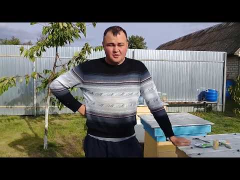 🔴Китайские пластины от