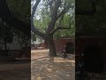 Panipat Museum
