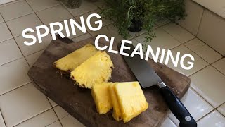 Spring Cleaning//Feedee Encouragement