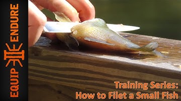 How to Filet Small Fish for Wilderness Survival, by Equip 2 Endure