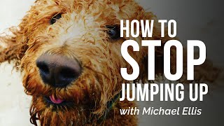 Michael Ellis on How to Get Your Dog to Stop Jumping Up