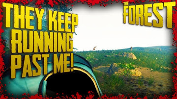 S1E04: Raiding the Beaches + Shark Head & Pot Storage + Losing My Mind! (v0.67) | The Forest