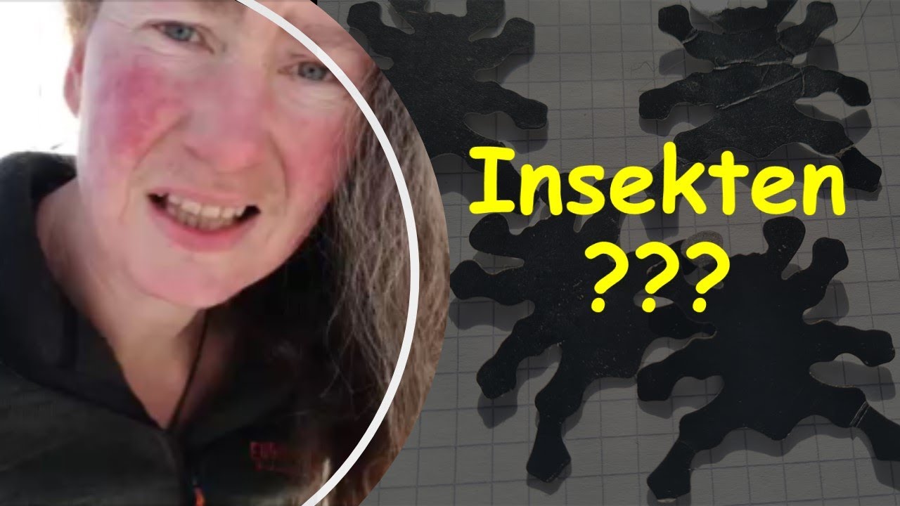 insekten-in-der-selbstversorgung-ein-selbstgespr-ch-nicht-ganz