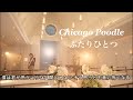 Chicago Poodle「ふたりひとつ」/もともと僕らはひとつひとつ