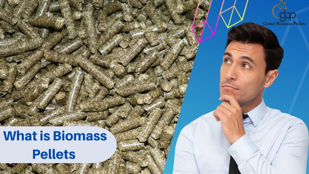 Introduction to Biomass Pellets: A Sustainable Energy Source || बायोमास पेलेट क्या हे?