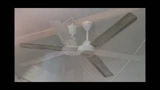 My ceiling fan sightings! 7