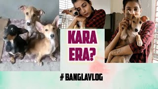 Kara Era Ki Notun Kaj Holo Flat Ey Vlog