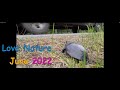 Love Nature - June 2022