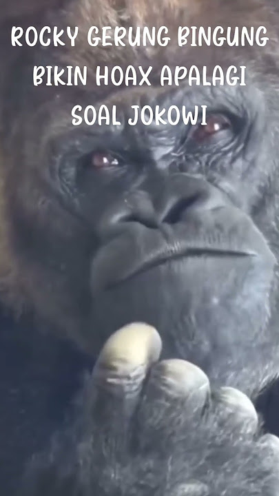 Detik Detik @RockyGerungOfficial_2024 Bingung Bikin Hoax Apalagi Soal Jokowi