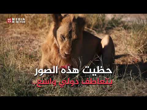 محمية حيوانات في السودان