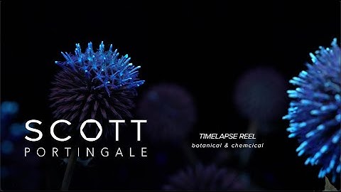TIMELAPSE REEL - botanical & chemical