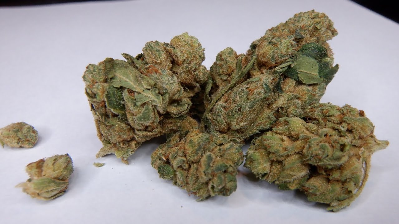 Strain Review Cyber Fuel OG By Drift YouTube