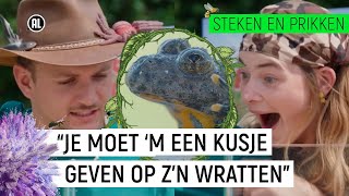 PRESENTATOR KUST GIFTIGE PAD!! | Steken en Prikken | S3 #8 | NPO Zapp