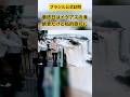 A宮家佳子さま、最終日はイグアスの滝から