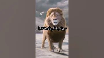 تصميم عن الامام علي بن ابي طالب عليه السلام 