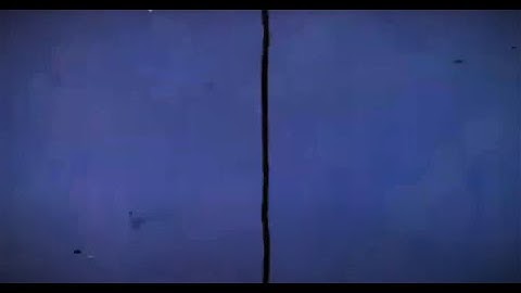 Built to Last with alpha Kappa Delta Phi