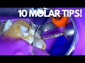 Top 10:  Molar Root Canal Tips To Make Life Easier
