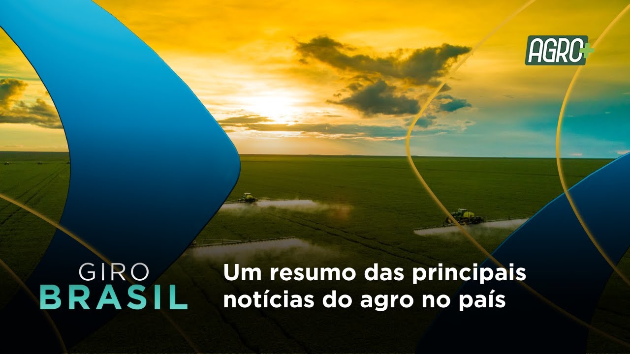 Giro Brasil  23/01 - Um resumo das principais notícias do país