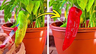 Smart Ways to grow and Protect your Garden all year by 5-Minute Crafts Recycle 2,927 views 6 days ago 19 minutes