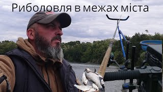 Рибалимо на районі  що вдалося впіймати в межах міста ‼#риболовля #відпочинок #україна #bream