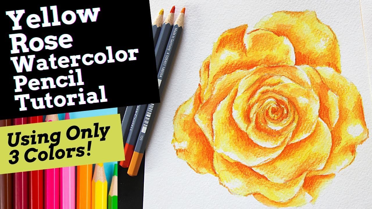 How To: EASY Watercolour Pencil Flowers! - LIVE Video! 